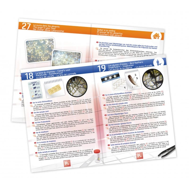 Microscope 30 expériences – Image 3