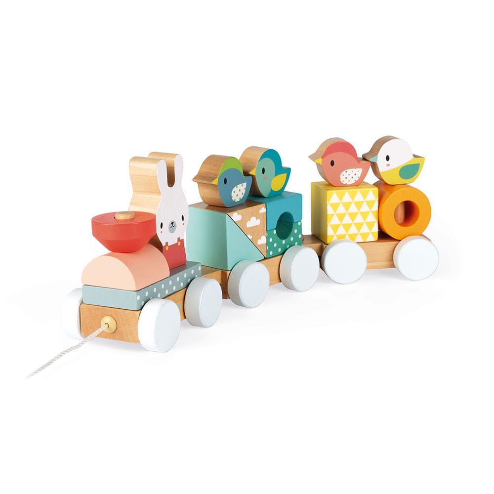 Train en bois pure - JANOD