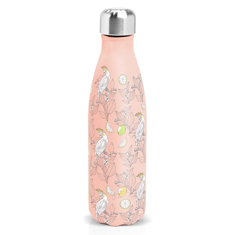 Bouteille isotherme 500 ml cacatoes - LABEL TOUR