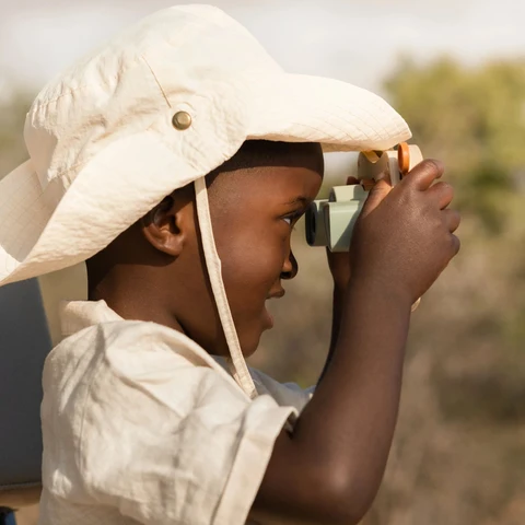 Visionneuse en forme de lion Safari – Image 5