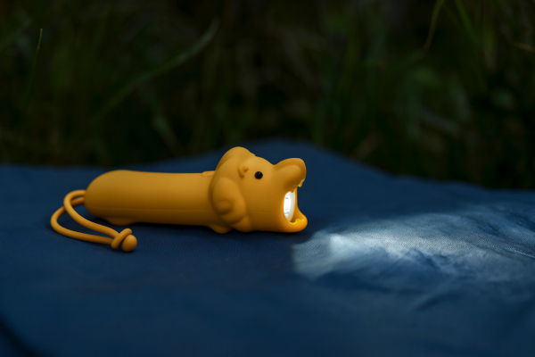 Lampe de poche rechargeable Lion – Image 3