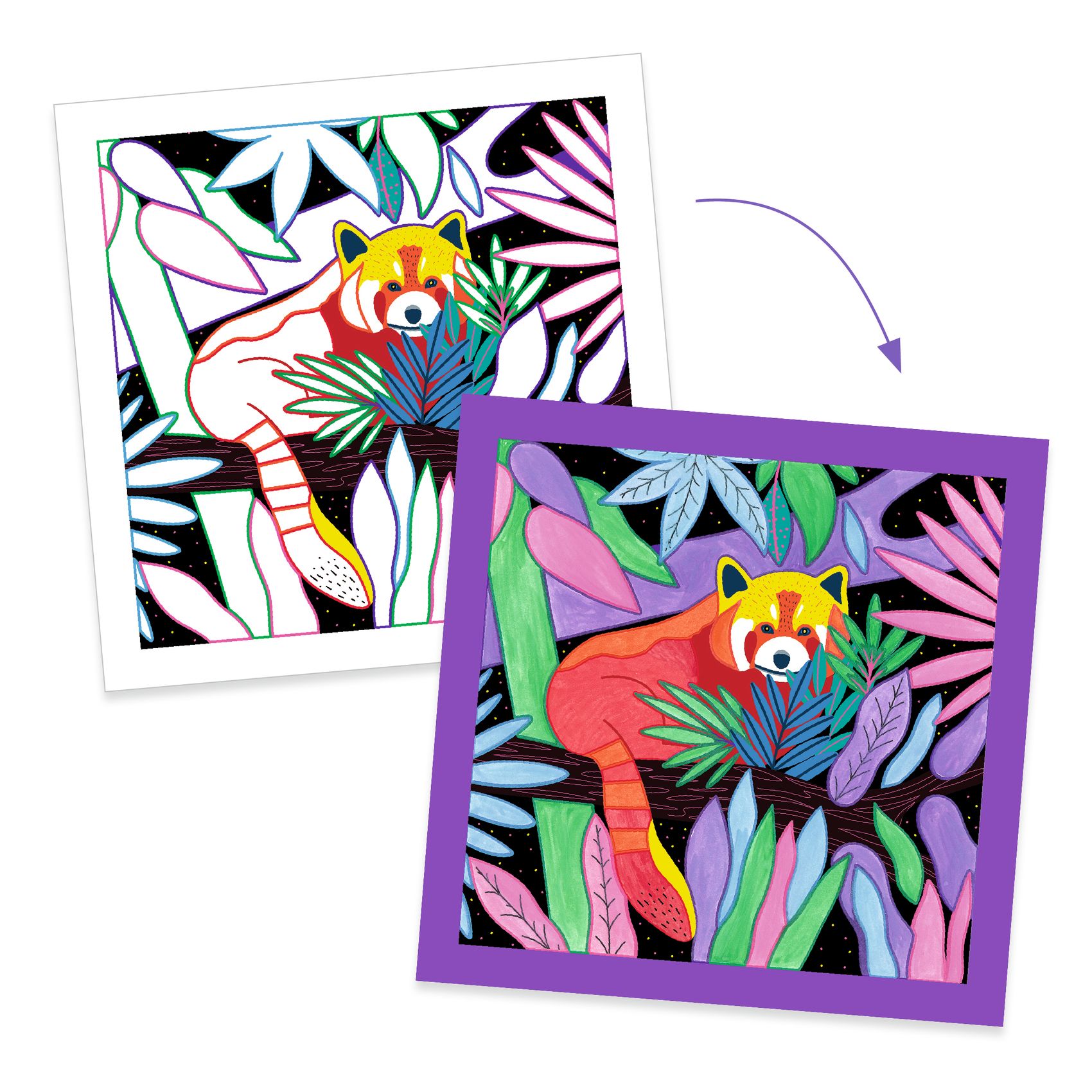 Cartes peinture magique Selva – Image 4
